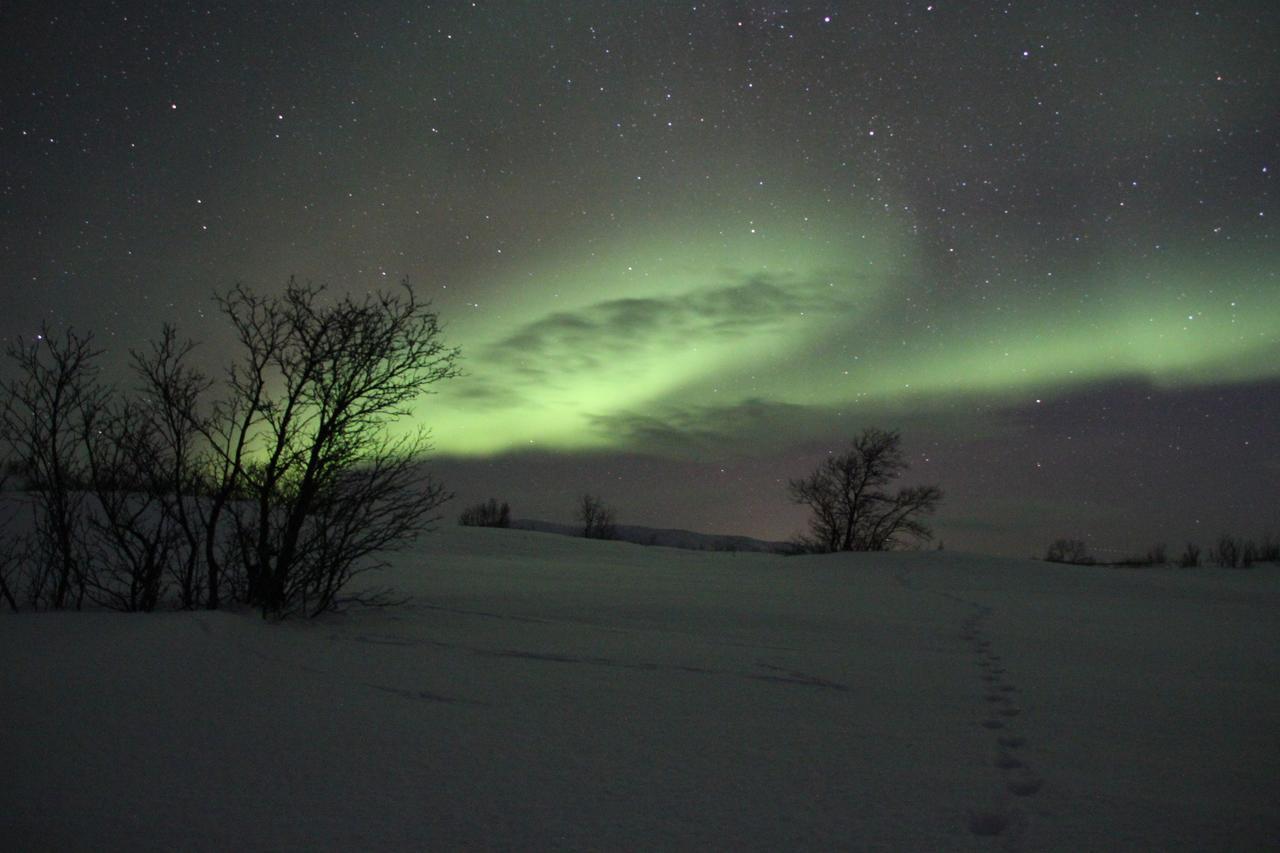 Fjellivet Villa Lakselv Exteriör bild