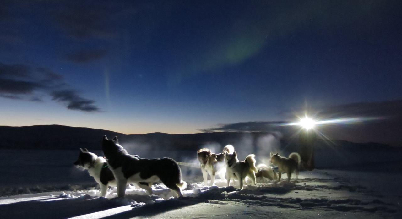 Fjellivet Villa Lakselv Exteriör bild